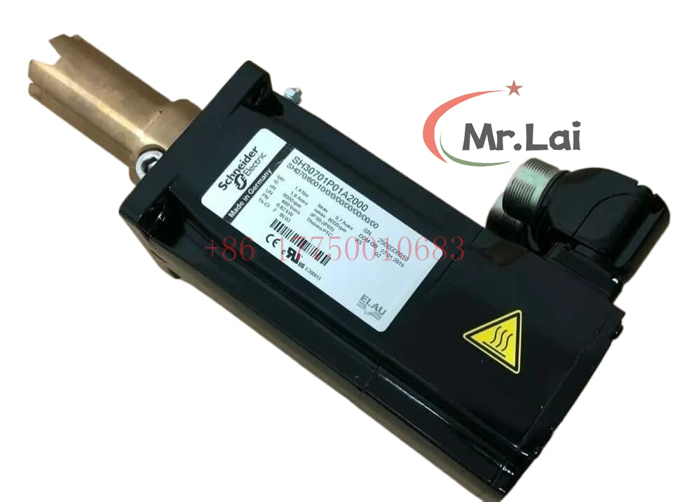 SH100/40080/0/1/00/00/10/01/00 | Schneider | EALU motor